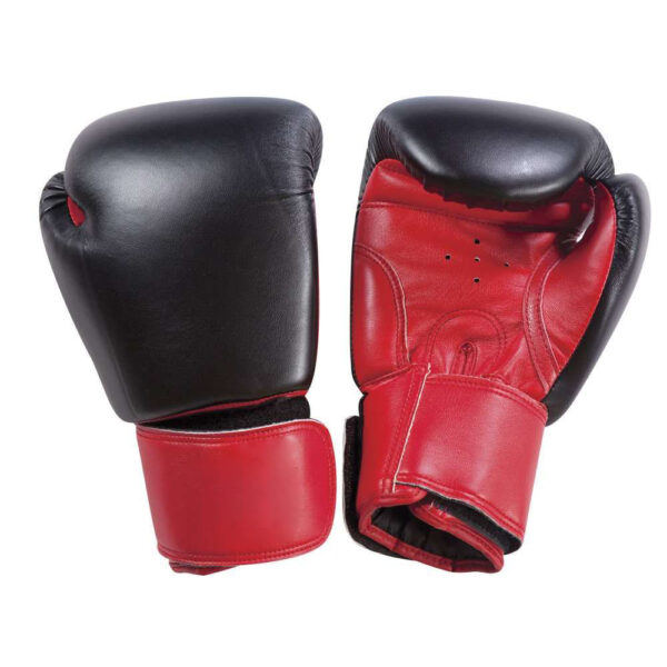 19-Boxing-Gloves.jpg