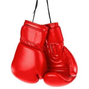 Boxing Gloves